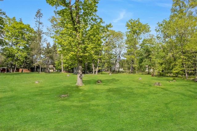 59 E Main St, Washingtonville, NY 10992 - view of grassy yard with view of wooded area