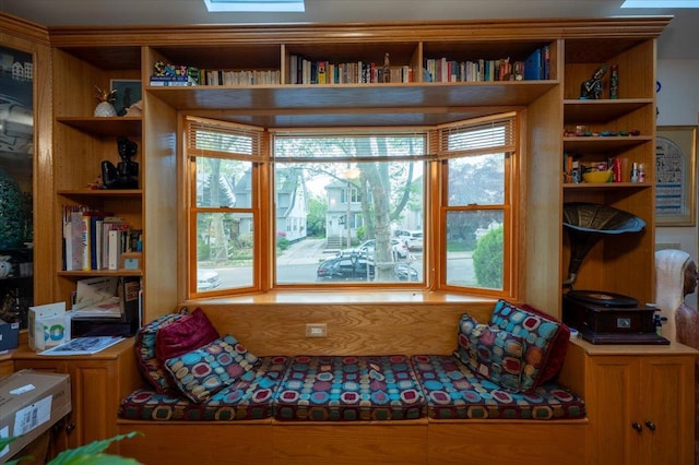sitting room featuring plenty of natural light