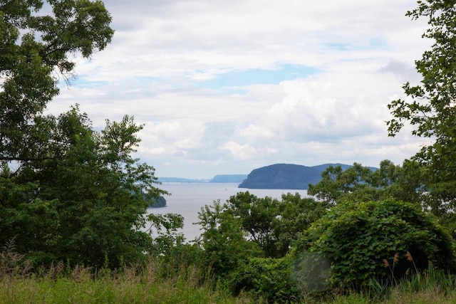 3 Prickly Pear Hill Rd, Croton-On-Hudson, NY 10520
