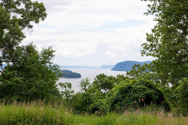 3 Prickly Pear Hill Rd, Croton-On-Hudson, NY 10520