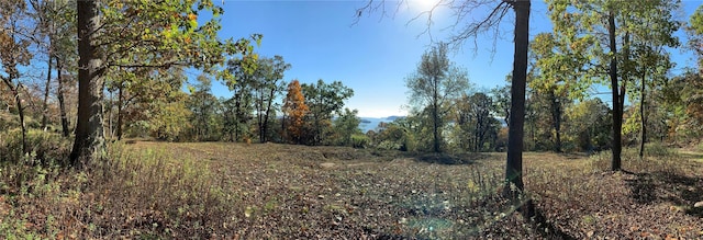 3 Prickly Pear Hill Rd, Croton-On-Hudson, NY 10520