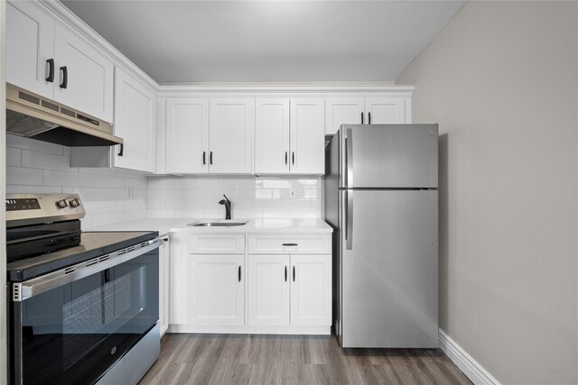 280 Lowndes Ave Unit 305G, Huntington Station, NY 11746 - kitchen with appliances with stainless steel finishes, under cabinet range hood, a sink, light wood-style floors, and tasteful backsplash
