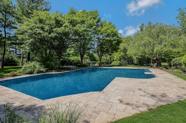 19 Amber Ln, Oyster Bay Cove, NY 11771 - photo 33