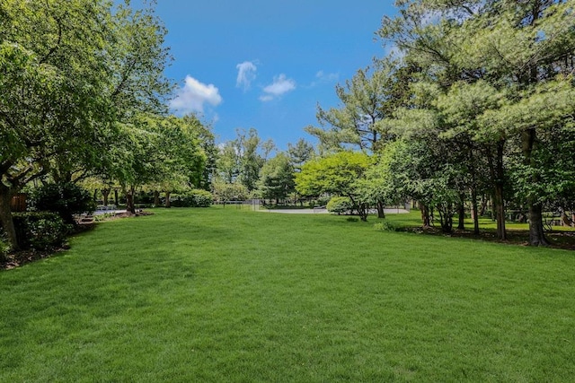 19 Amber Ln, Oyster Bay Cove, NY 11771 - photo 30