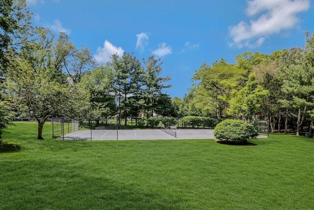 19 Amber Ln, Oyster Bay Cove, NY 11771 - photo 31