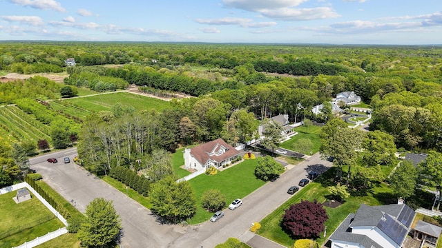 9 Sander Ct, Middle Island, NY 11953 - photo 35