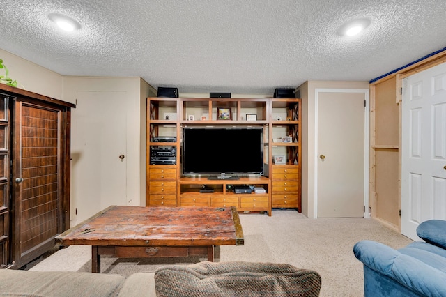 105 1st Ave, Kings Park, NY 11754 - living area featuring carpet and a textured ceiling