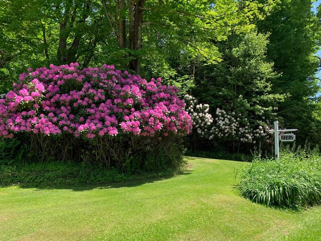 2182 Old Rte 17, Roscoe, NY 12776 - view of grassy yard