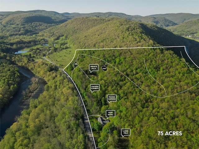 2182 Old Rte 17, Roscoe, NY 12776 - view of property location featuring a forest, a mountainous background, and property boundaries highlighted