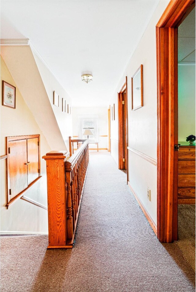 2182 Old Rte 17, Roscoe, NY 12776 - hall with carpet floors, an upstairs landing, and baseboards