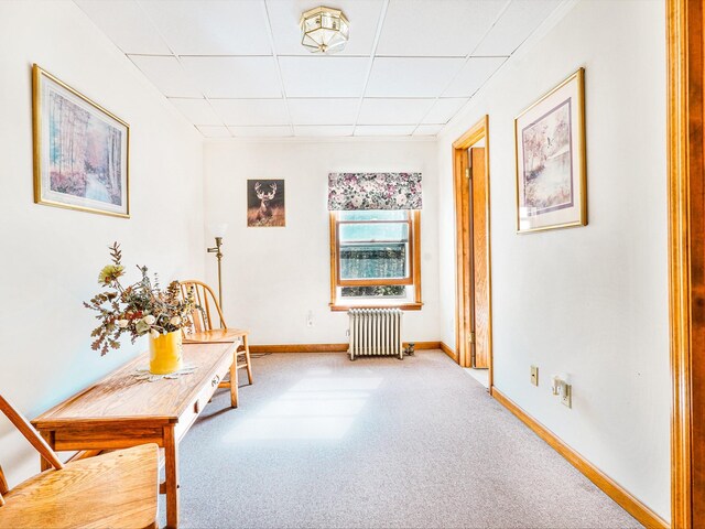 2182 Old Rte 17, Roscoe, NY 12776 - corridor featuring radiator heating unit, a drop ceiling, carpet, and baseboards