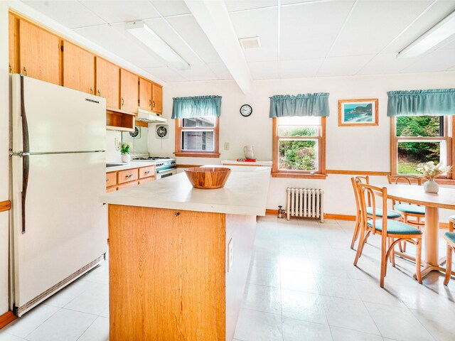 2182 Old Rte 17, Roscoe, NY 12776 - kitchen featuring white appliances, radiator heating unit, light countertops, under cabinet range hood, and a center island