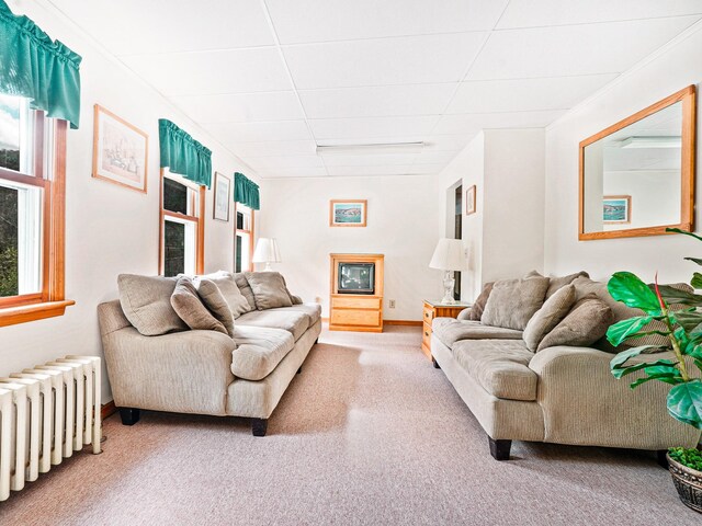 2182 Old Rte 17, Roscoe, NY 12776 - carpeted living room with radiator