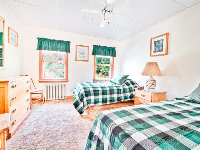 2182 Old Rte 17, Roscoe, NY 12776 - carpeted bedroom featuring radiator