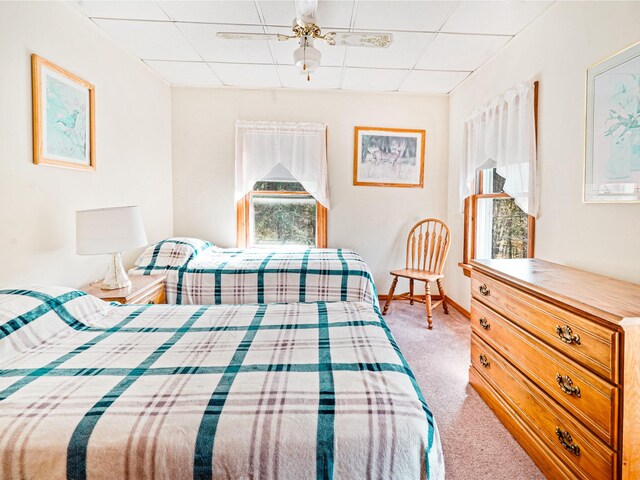 2182 Old Rte 17, Roscoe, NY 12776 - bedroom featuring a drop ceiling, carpet flooring, and baseboards