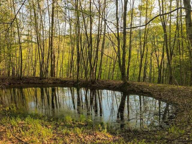2182 Old Rte 17, Roscoe, NY 12776 - water view with a heavily wooded area