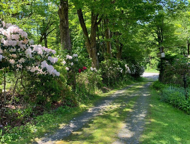 2182 Old Rte 17, Roscoe, NY 12776 - view of road featuring a view of trees