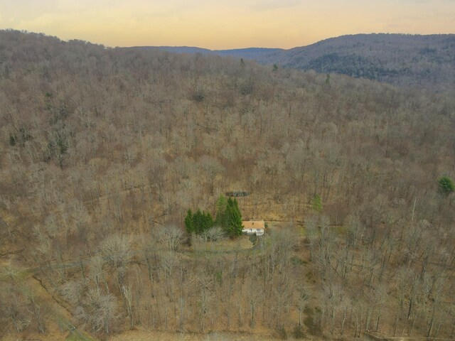 2182 Old Rte 17, Roscoe, NY 12776 - mountain view with a heavily wooded area