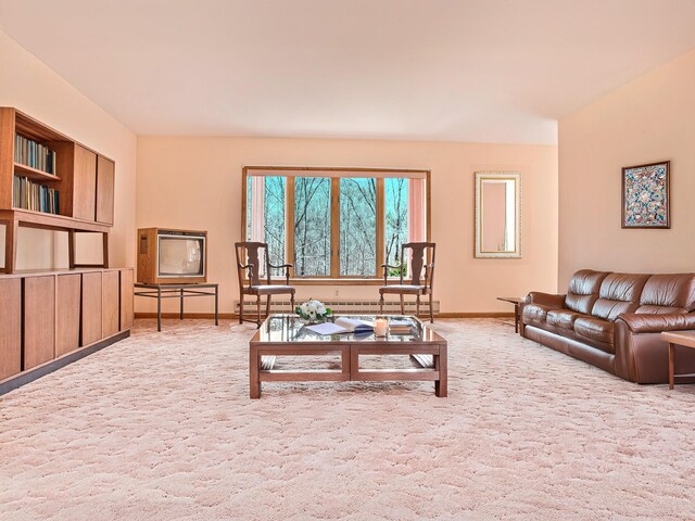 2182 Old Rte 17, Roscoe, NY 12776 - living room with baseboards and carpet flooring