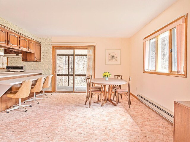 2182 Old Rte 17, Roscoe, NY 12776 - dining area featuring baseboard heating, plenty of natural light, and baseboards