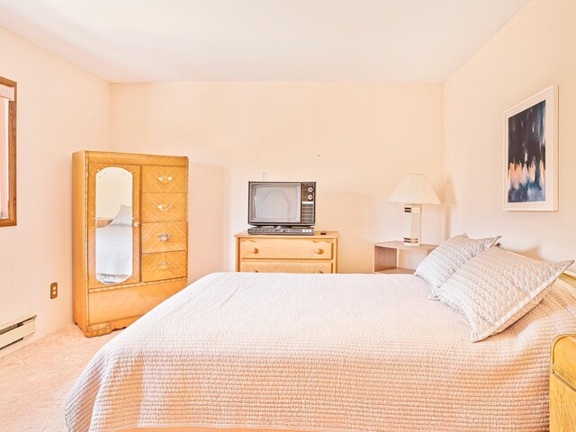 2182 Old Rte 17, Roscoe, NY 12776 - bedroom with a baseboard radiator and carpet floors