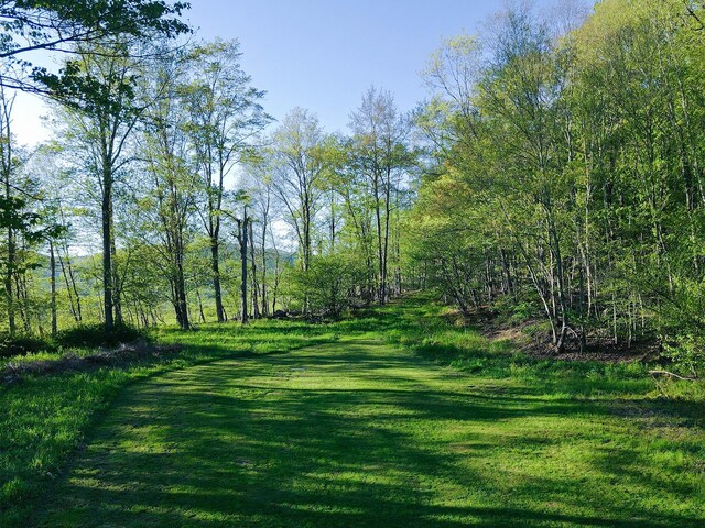 2182 Old Rte 17, Roscoe, NY 12776 - view of green lawn