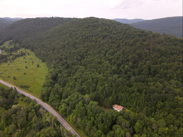 2182 Old Rte 17, Roscoe, NY 12776 - photo 6