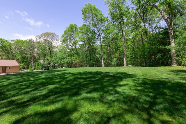 10 Northwood Ct, Dix Hills, NY 11746 - view of grassy yard with a view of trees
