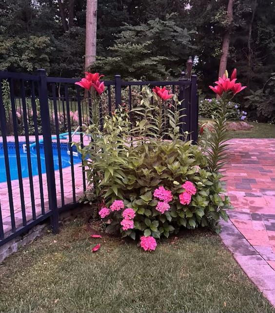 10 Northwood Ct, Dix Hills, NY 11746 - exterior view of a swimming pool