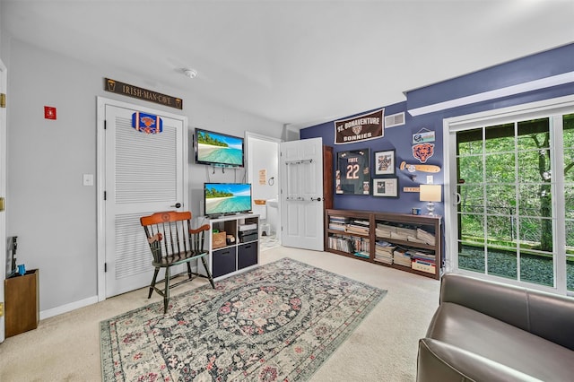 40 Peter Turner Rd, Monroe, NY 10950 - living area with carpet and baseboards