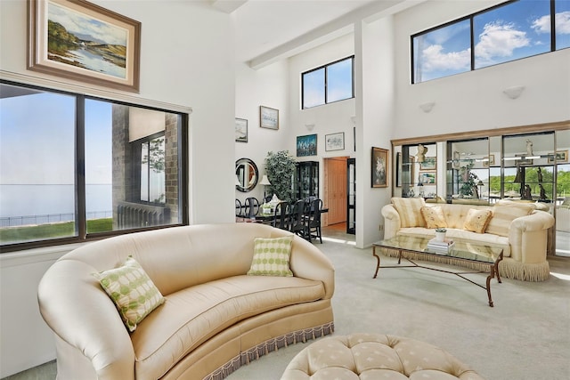16 Waters Edge Unit 16, Rye, NY 10580 - living room featuring carpet floors and a high ceiling