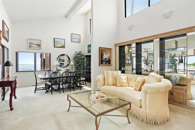 16 Waters Edge Unit 16, Rye, NY 10580 - living room with high vaulted ceiling and light carpet