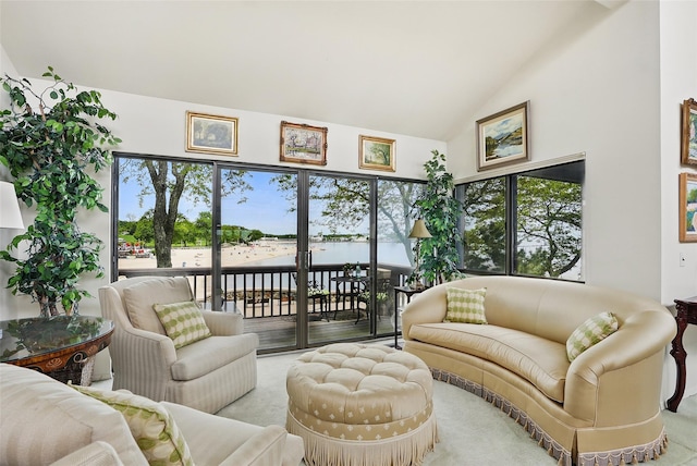16 Waters Edge Unit 16, Rye, NY 10580 - living area featuring carpet and high vaulted ceiling