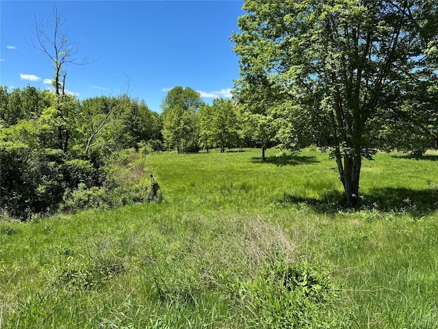 TBD Stanford Rd, Millbrook, NY 12545 - photo 2