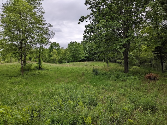 TBD Stanford Rd, Millbrook, NY 12545 - photo 4