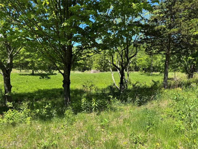 TBD Stanford Rd, Millbrook, NY 12545 - photo 5