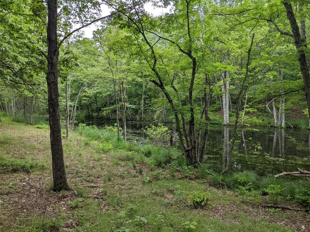 TBD Stanford Rd, Millbrook, NY 12545 - photo 6