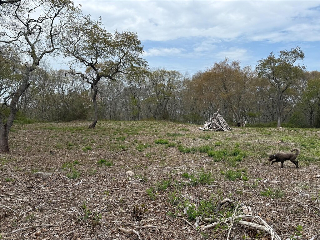 00 E End Rd, Fishers Island, NY 06390