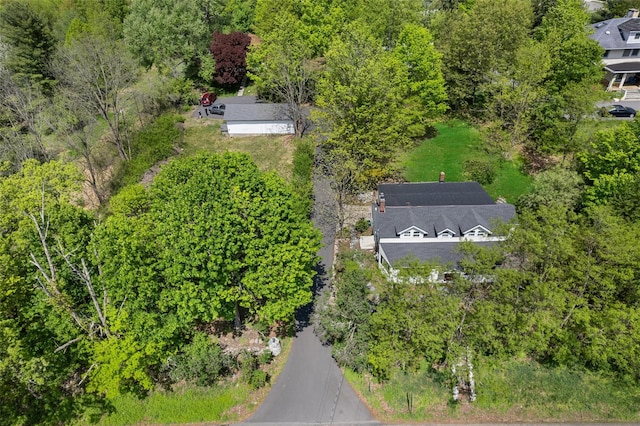 180-184 Pine Tree Rd, Monroe, NY 10950 - aerial view