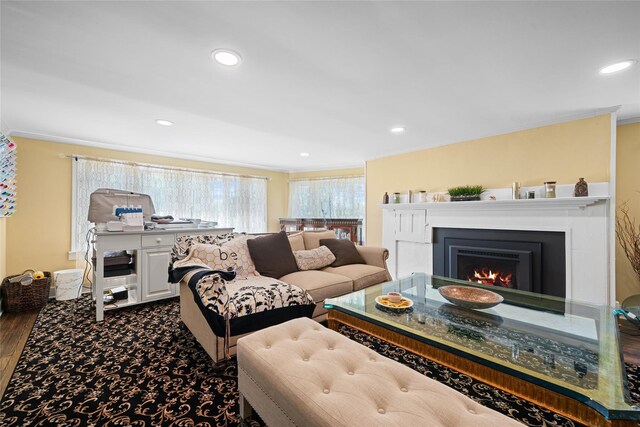 180-184 Pine Tree Rd, Monroe, NY 10950 - living room with crown molding, a warm lit fireplace, recessed lighting, and dark wood finished floors