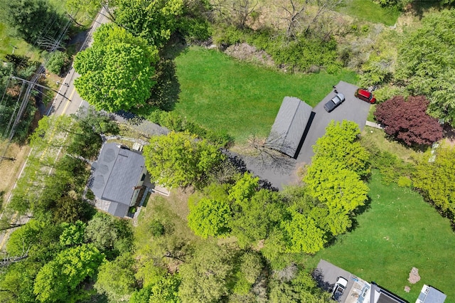 180-184 Pine Tree Rd, Monroe, NY 10950 - bird's eye view