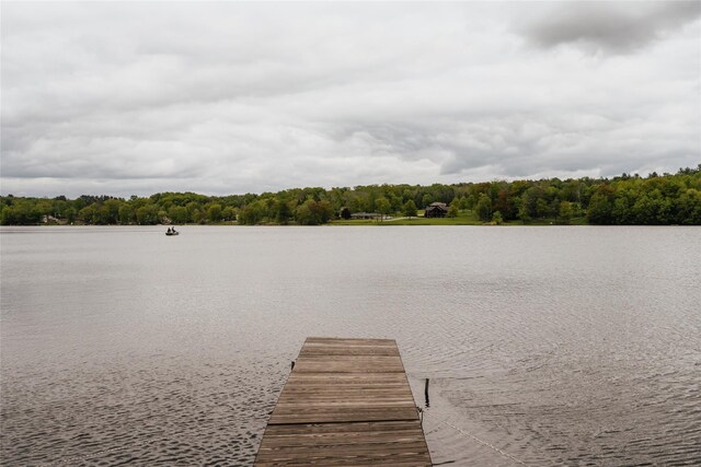 6721 State Route 52, Cochecton Center, NY 12752 - photo 32