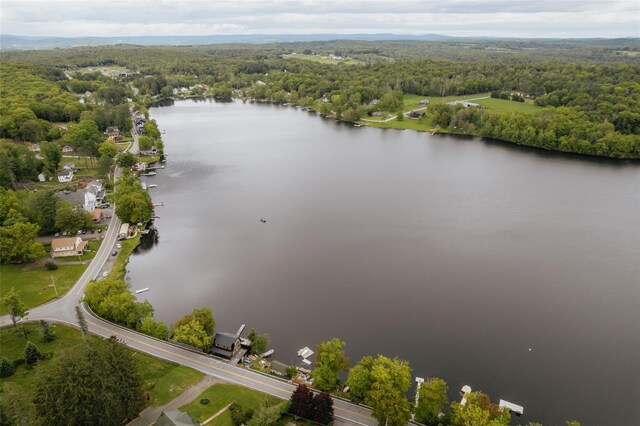 6721 State Route 52, Cochecton Center, NY 12752 - photo 34