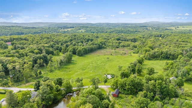 TBDPARCEL5 Woodstock Rd, Millbrook, NY 12545 - photo 1