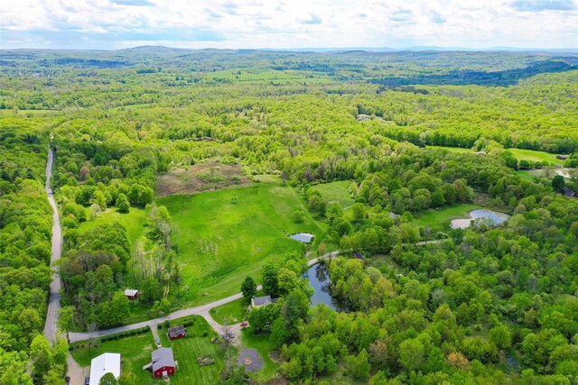 TBDPARCEL5 Woodstock Rd, Millbrook, NY 12545 - photo 3