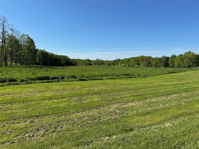 TBDPARCEL5 Woodstock Rd, Millbrook, NY 12545 - photo 4