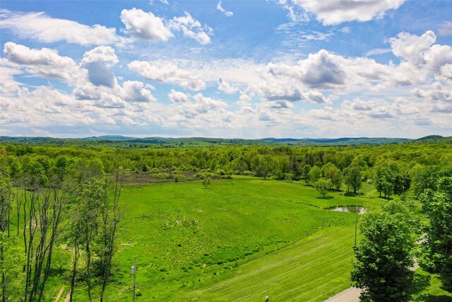 TBDPARCEL5 Woodstock Rd, Millbrook, NY 12545 - photo 5
