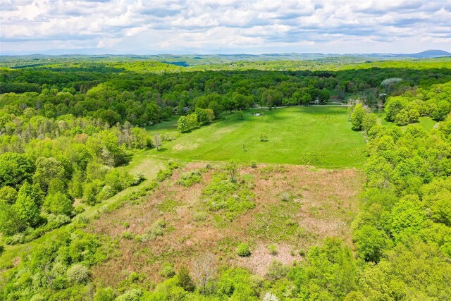 TBDPARCEL5 Woodstock Rd, Millbrook, NY 12545 - photo 6