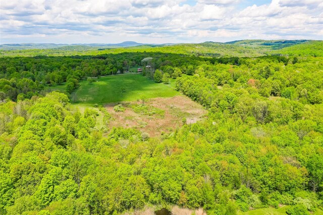 TBDPARCEL5 Woodstock Rd, Millbrook, NY 12545 - photo 7
