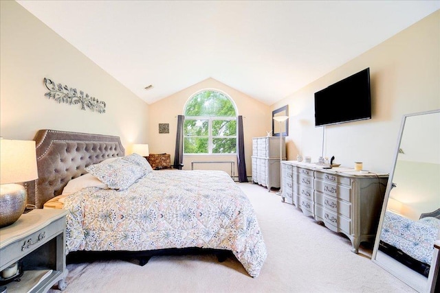 7 Cambridge Cir, Monroe, NY 10950 - bedroom featuring lofted ceiling and light colored carpet